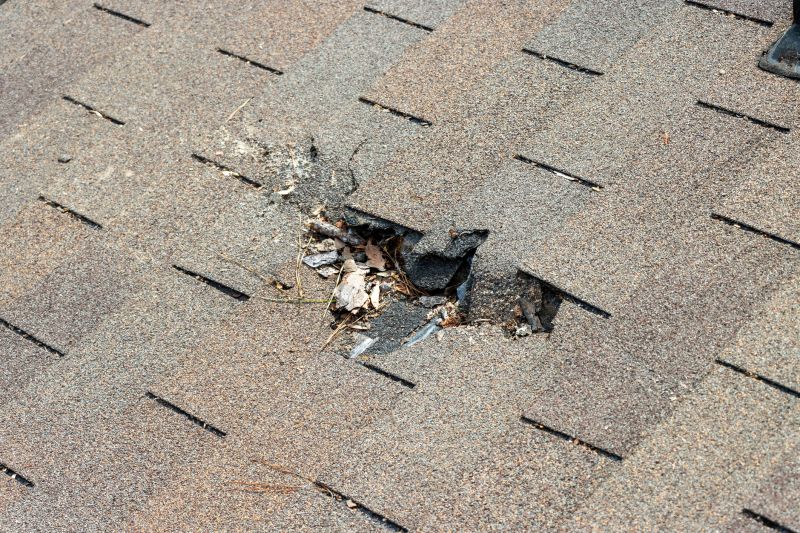 Shingle Roof Replacement in Alexandria, VA